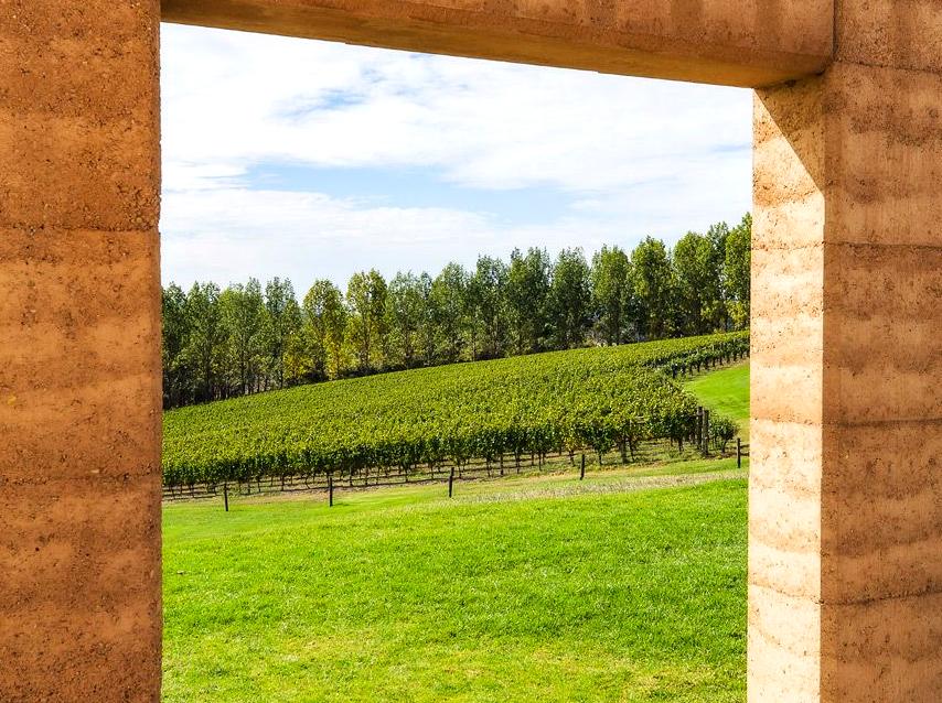 Exploring Wines and Culinary Delights at Tarrawarra Estate